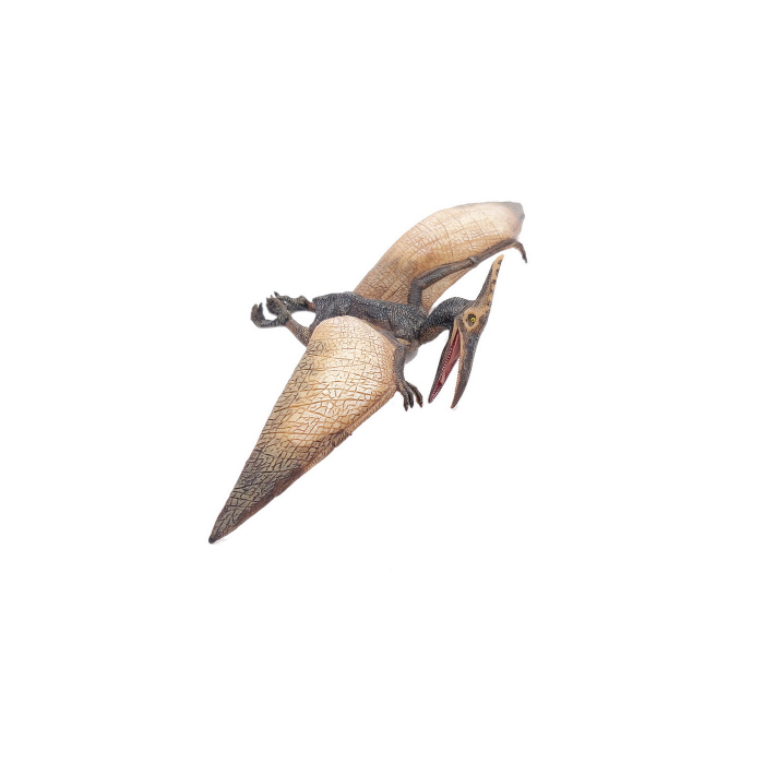 PAPO - Figurina Dinozaur Pteranodon  [3]