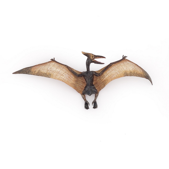 PAPO - Figurina Dinozaur Pteranodon  [4]