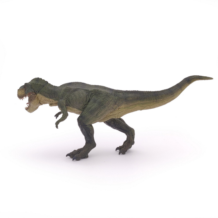 PAPO - Figurina Dinozaur T-Rex Verde  [4]