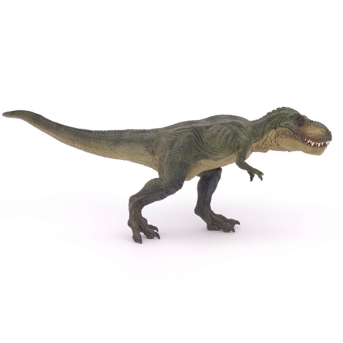 PAPO - Figurina Dinozaur T-Rex Verde  [6]