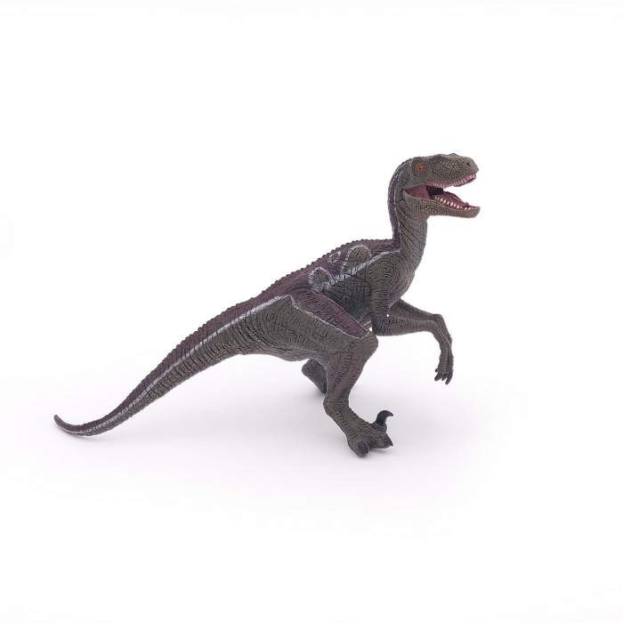 PAPO - Figurina Dinozaur Velociraptor  [6]