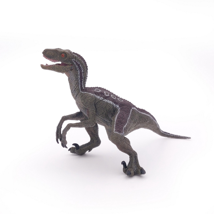 PAPO - Figurina Dinozaur Velociraptor  [2]