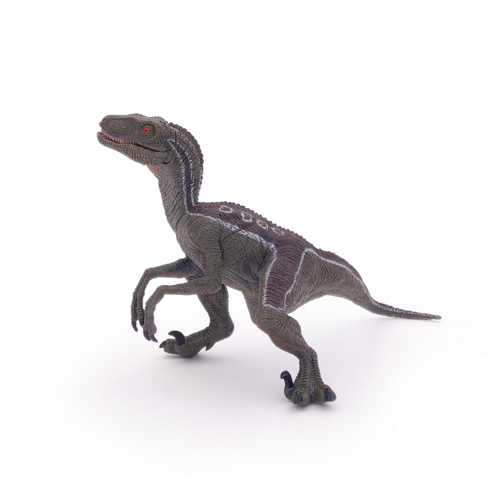 PAPO - Figurina Dinozaur Velociraptor  [3]