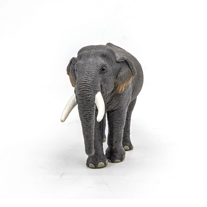PAPO - Figurina Elefant Asiatic  [5]