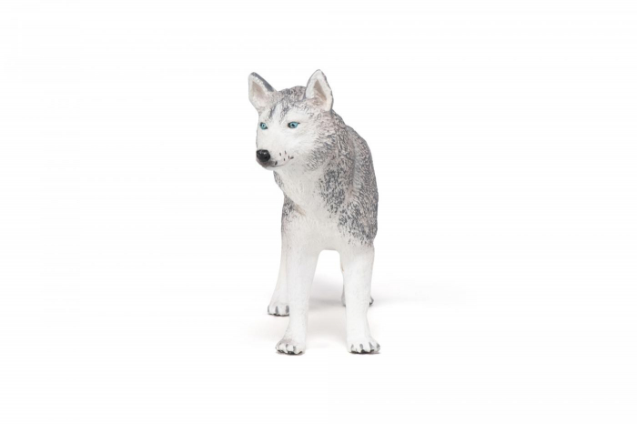 PAPO - Figurina Husky Siberian  [4]