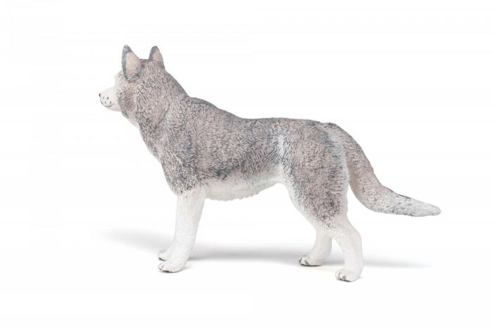 PAPO - Figurina Husky Siberian  [6]