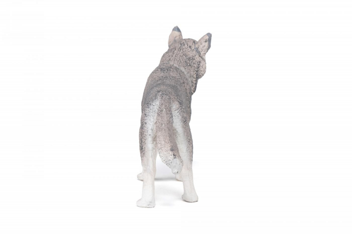 PAPO - Figurina Husky Siberian  [7]