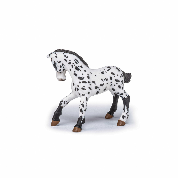 Papo - Figurină Mânz Appaloosa Negru  [5]