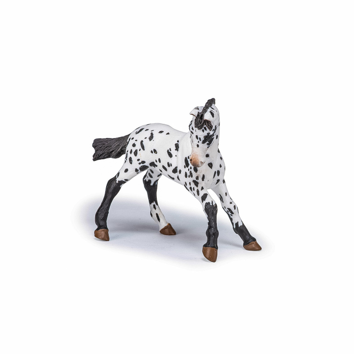 Papo - Figurină Mânz Appaloosa Negru  [3]