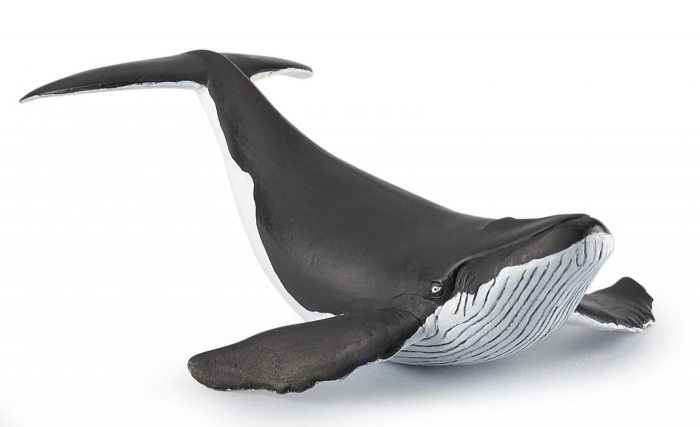 PAPO - Figurina Pui de Balena