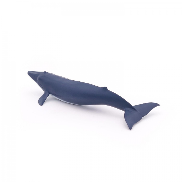 Papo Figurina Pui De Balena Albastra [5]