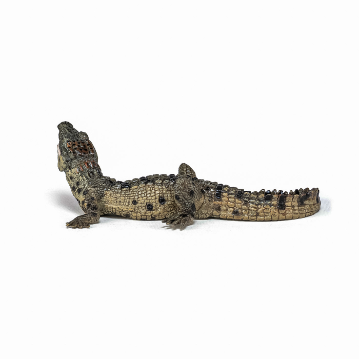 PAPO - Figurina Pui de Crocodil  [6]