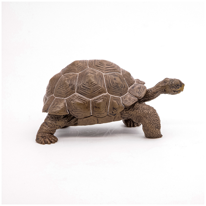 PAPO - Figurina Testoasă Galapagos  [2]