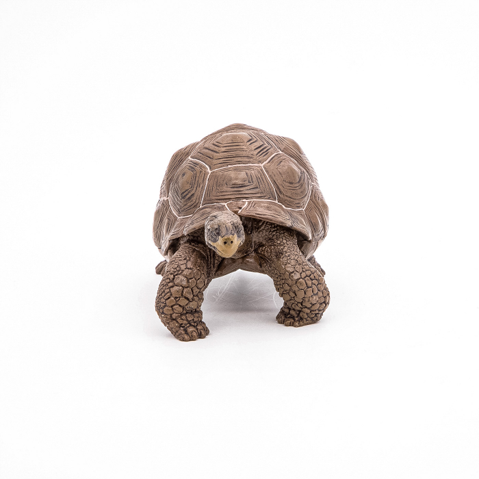 PAPO - Figurina Testoasă Galapagos  [6]