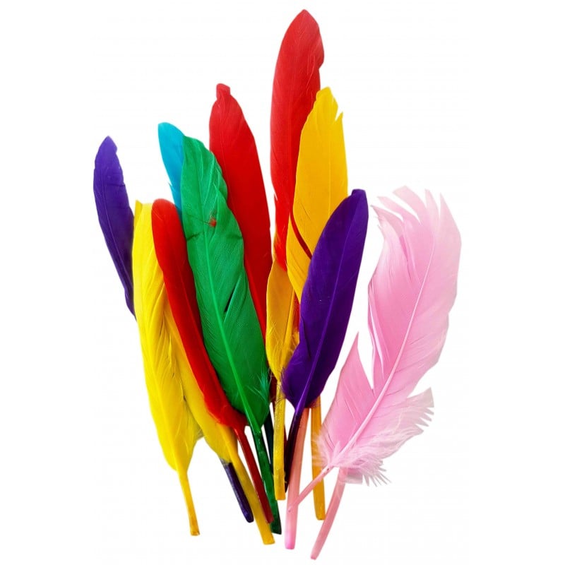 Pene colorate pentru activitati crafts 12 15 cm,10 bucati set