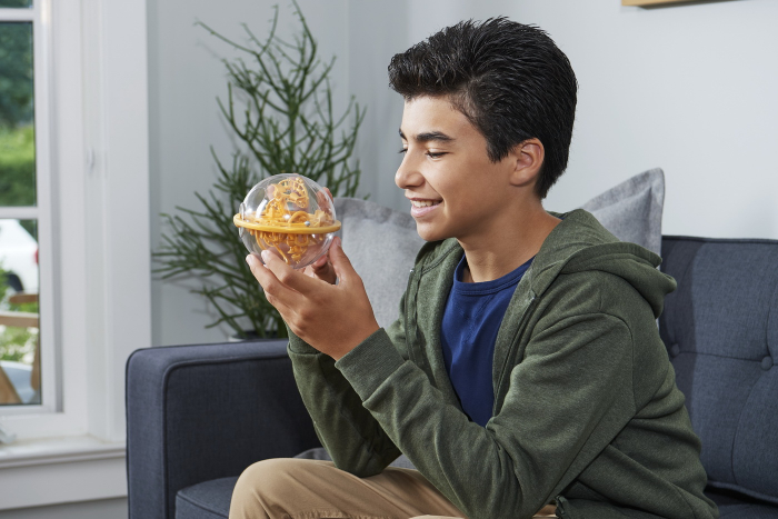 Perplexus Harry Potter Labirint 3D  [7]