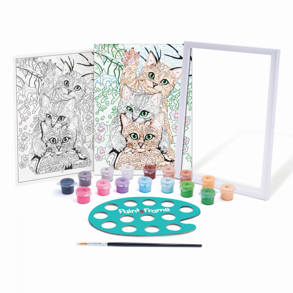 PICTEAZA SI INRAMEAZA [5]