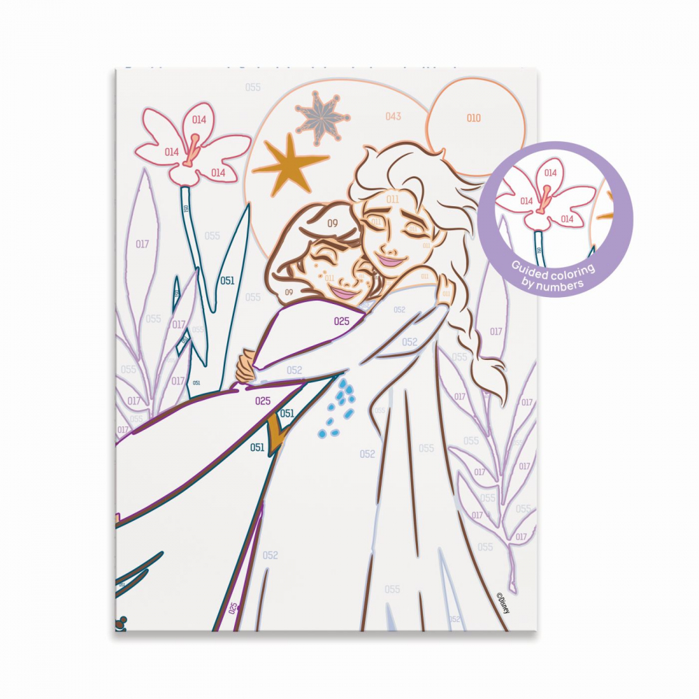 PICTEAZA SI INRAMEAZA DISNEY FROZEN [6]