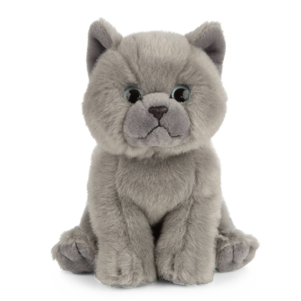Pisică de pluș British Shorthair 16 cm – Living Nature [3]