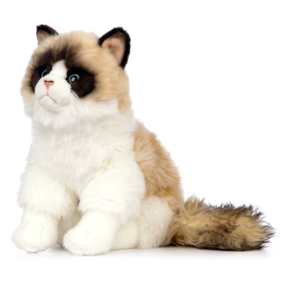 Pisică Ragdoll de pluș 25 cm – Living Nature [2]