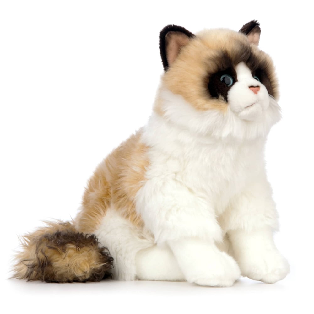 Pisică Ragdoll de pluș 25 cm – Living Nature [1]
