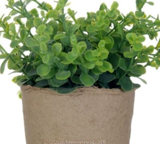 Planta artificiala Oregano  decorativa in ghiveci pentru interior [2]
