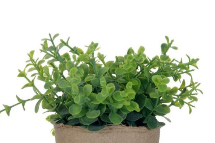 Planta artificiala Oregano  decorativa in ghiveci pentru interior [3]