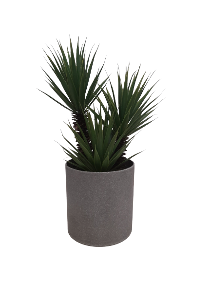 Planta decorativa artificiala Dracaena marginata [2]