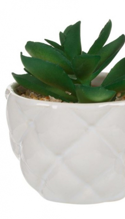 Planta decorativa artificiala in ghiveci ceramic tip cana [3]