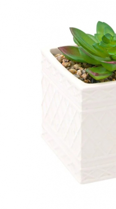 Planta decorativa artificiala in ghiveci decorat cu pietricele [4]