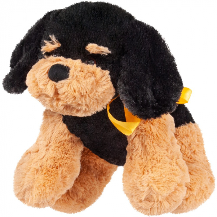 Plus catelus rottweiler 35cm