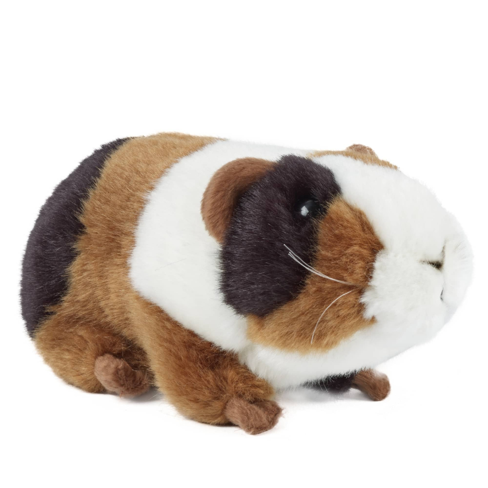 Porc de Guineea de pluș 18 cm – Living Nature [2]