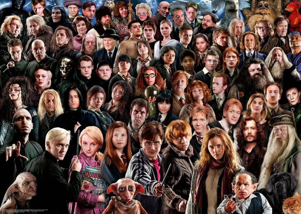 PUZZLE HARRY POTTER CHALLENGE 1000 [2]