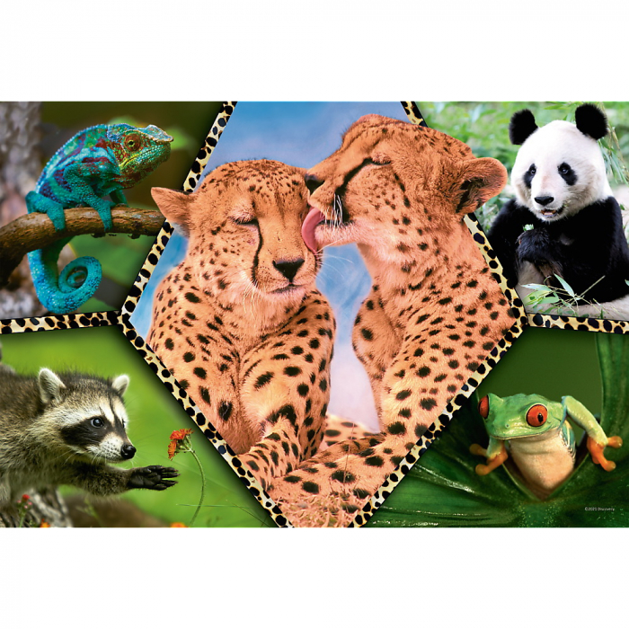 Puzzle Trefl 100 Natura Frumoasă  [2]