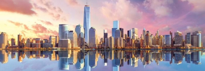Puzzle Trefl 1000 Panorama Manhattan  [2]