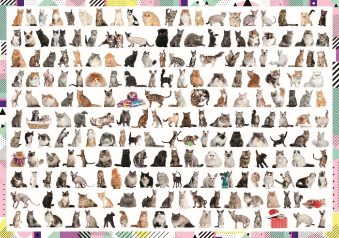 Puzzle Trefl 1000 Pisici - 208 la Număr  [2]