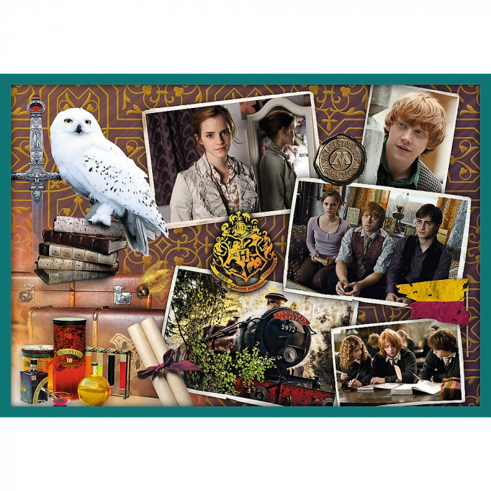 Puzzle Trefl 10in1 Harry Potter în Lumea lui Harry Potter [2]