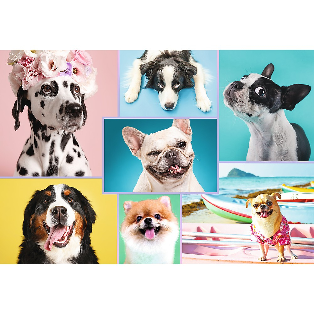 PUZZLE TREFL 1500 CATELUSII AMUZANTI [2]