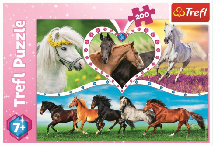 Puzzle Trefl 200 Frumoșii Cai  [3]