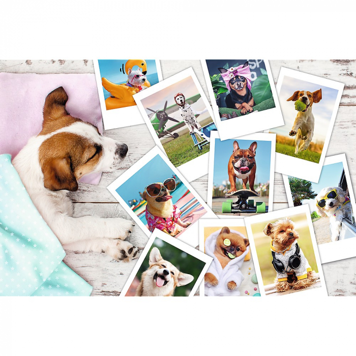 Puzzle Trefl 300 Poze din Vacanță  [2]