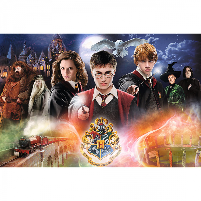 Puzzle Trefl 300 Secretul lui Harry Potter  [2]