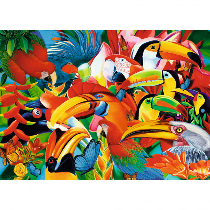 Puzzle Trefl 500 Păsări Colorate  [2]