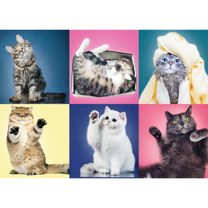 Puzzle Trefl 500 Pisicuțe  [2]
