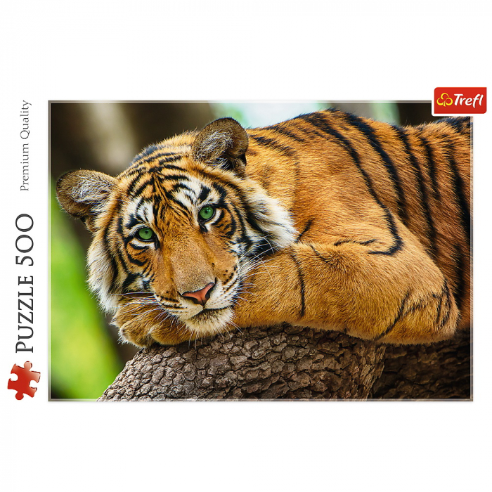 Puzzle Trefl 500 Portretul Tigrului  [3]