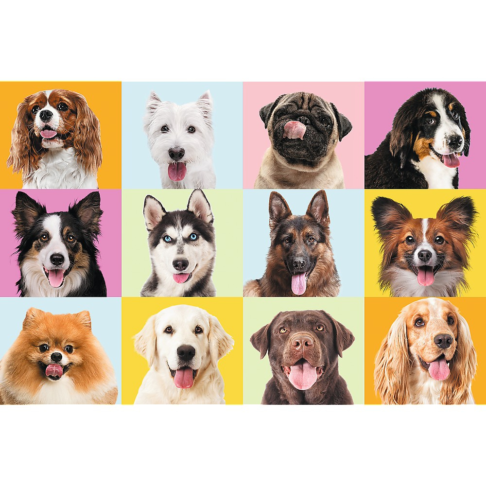 PUZZLE TREFL 60 CATEI DRAGUTI [2]