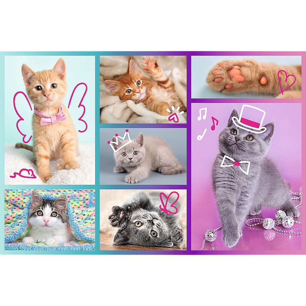 PUZZLE TREFL 60 PISICUTE DRAGUTE [2]