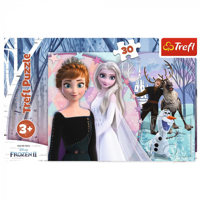 PUZZLES 30 Magical Frozen  [3]