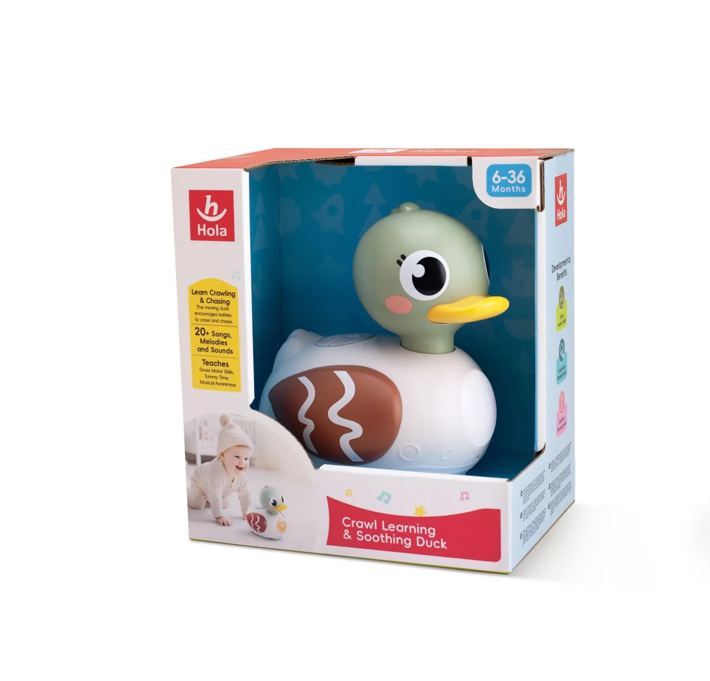 RATUSCA INTERACTIVA CU MUZICA SI LUMINI