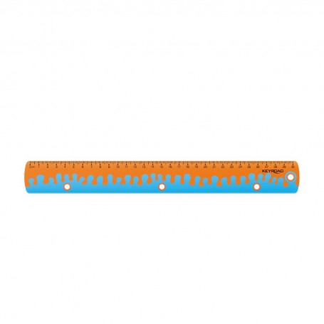 Rigla din plastic [3]