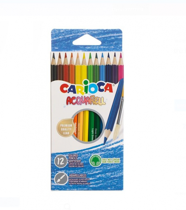 Set 12 creioane colorate cu varf subtire,CARIOCA ACQUARELL